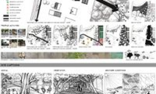 公牛牌骨痛灵胶囊网 | 公牛牌风痛灵和骨痛灵,公牛牌骨痛灵的功效和副作用